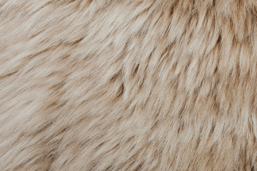 brown sheepskin fur texture background