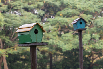 Squirrel house.a little home for a squirrel in park.