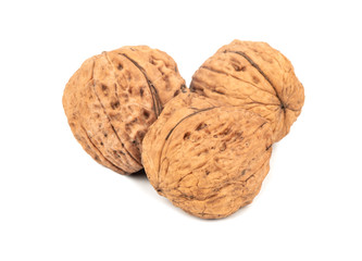 Three large walnuts