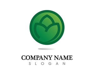 Tree leaf vector logo design, eco-friendly concept.