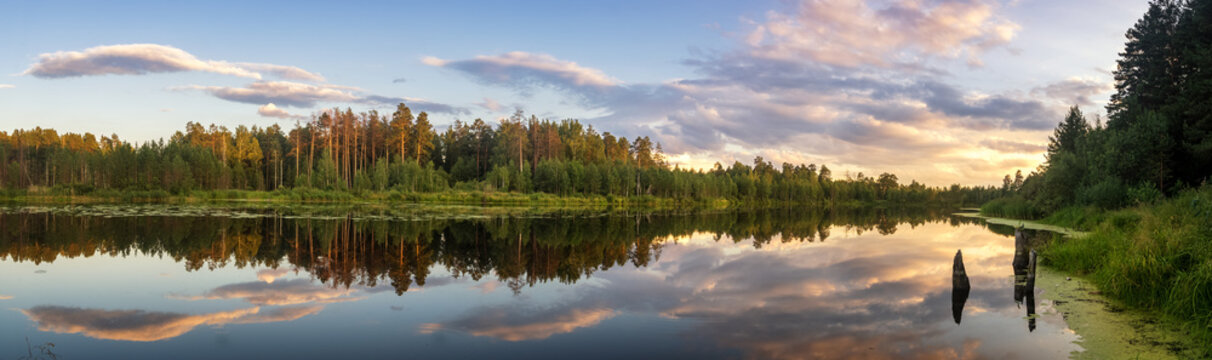 панорама летнего вечернего пейзажа на Уральском озере с соснами на берегу, Россия, август © 7ynp100
