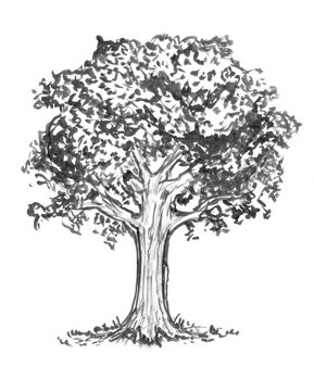 Black brush and ink artistic rough hand drawing of tree.