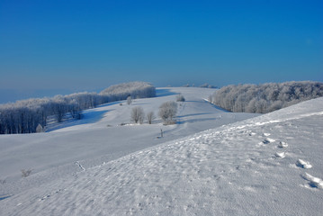 Fototapeta na wymiar Winterlandschaft auf dem Filsenberg, Schwäbische Alb, Deutschland
