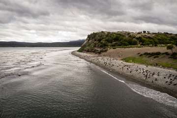 Island of Penguins in the Beagle Channel, Ushuaia, Argentina