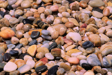 kieselsteine im meer,