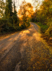 Sentiero in collina al tramonto con accesi colori autunnali