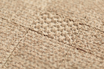 Background of healthy crispbread. Background for healthy themes