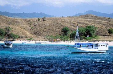 insel komodo