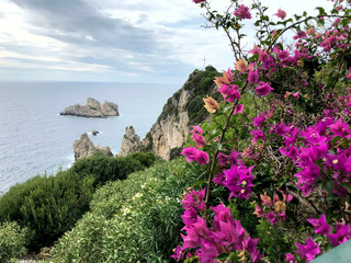 View of the coast of Corfu island in Greece. Side view from the hill to the sea, forest and rocks. In the foreground are bright pink flowers of Kolkwitzia. Cropped shot, perspective