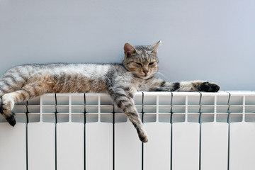 A White heating radiator on the wall.