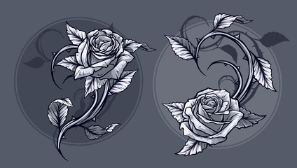 Graphic detailed graphic black and white roses flower with stem and leaves. On gray background. Vector icon set. Vol. 10