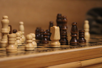 chess pieces on the Board: knight, pawn Queen