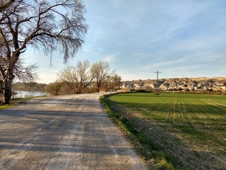 An unpaved earth street next to a field with sprouts, in the Galacho del Juslibol rural area next to Ebro river, with bare trees, in Zaragoza, Spain