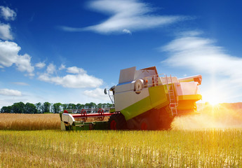 Obraz premium Combine working in field.