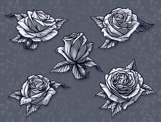 Graphic detailed cartoon black and white rose flower bud with leaves. On gray background. Vector icon set.