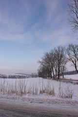 winter landscape with trees and blue sky
