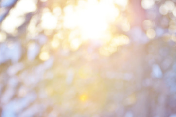 Obraz premium Winter blurred background of trees and snow.