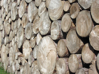 Firewood pile stacked . Woodpile of round logs . Chopped wood trunks