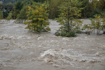 Overflow of a river after a period of heavy rain. Trees felled by the water