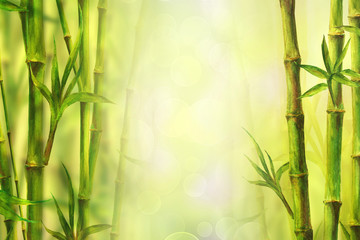 Fototapeta na wymiar Bamboo forest spa background. Watercolor hand drawn green botanical illustration with space for text