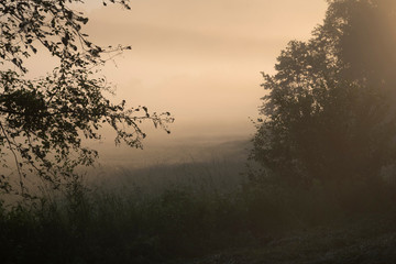 Naklejka premium Sommermorgen im Nebel