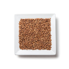 buckwheat grains on white square plate on white background with shadow isolated