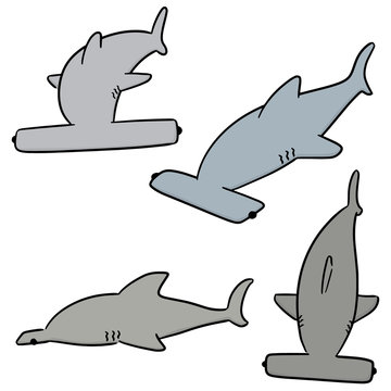 vector set of hammerhead shark