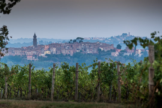 Peccioli, Pisa, Tuscany - Countryside landscape