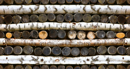 seamless texture of stacked birch logs