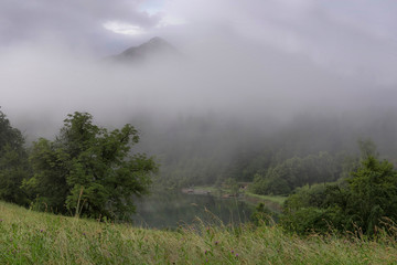 Sommer am Aichwaldsee