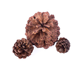 Sprig of Pine, Pine Cone, Christmas Decoration. isolated on white.