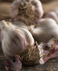 Freshly picked raw garlic on a wooden background with copy space. Close-up.