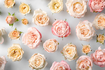 Flat lay composition with beautiful roses on white background