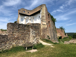 The Donaustauf Castle