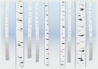 Christmas background with blurred edges. birch grove in winter. trees in snow. greeting card, poster design and advertising