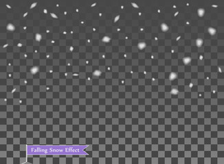 Falling snow, random elements. New year, Christmas decor overlay. Vector illustration on isolated transparent background.