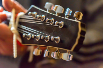 Neck and headstock of a stringed instrument mandoline