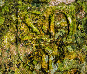 Pierre avec un blason gravé recouverte de mousse verte formant une texture