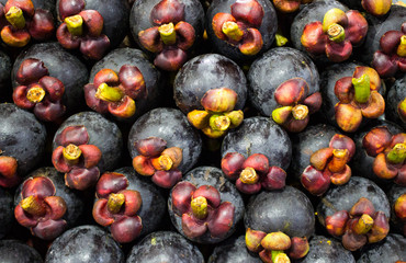 Background of fresh tropical exotic fruit. Neat rows of ripe tasty mangosteen. Queen of fruits. Purple mangosteen or Garcinia mangostana.