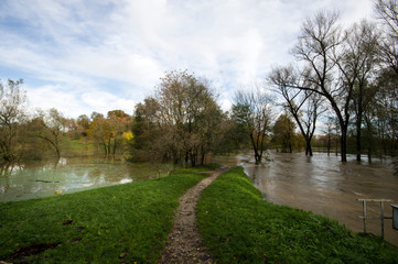 Fototapeta na wymiar flooded land and trees near river