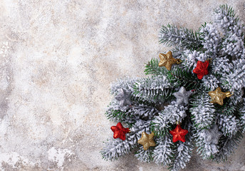 Christmas background with branch of tree