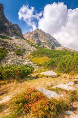 Naklejka na ściany i meble Mountain landscape, The Mlynicka valley of High Tatras National Park, Slovakia, Europe.