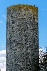 La tour aux corbeaux © Sylvain TANGUY