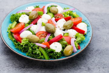 Vegetable salad with cheese mozzarella, tomatoes, basilikum and spice.