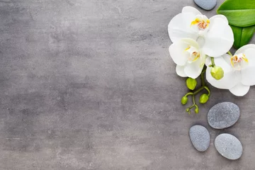 Foto op Plexiglas Schoonheidsorchidee op een grijze achtergrond. Spa-scène. © gitusik