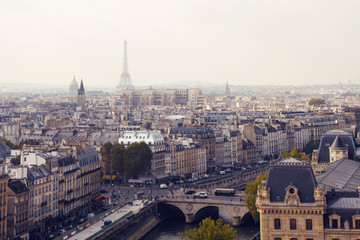 Fototapeta na wymiar the view of Paris