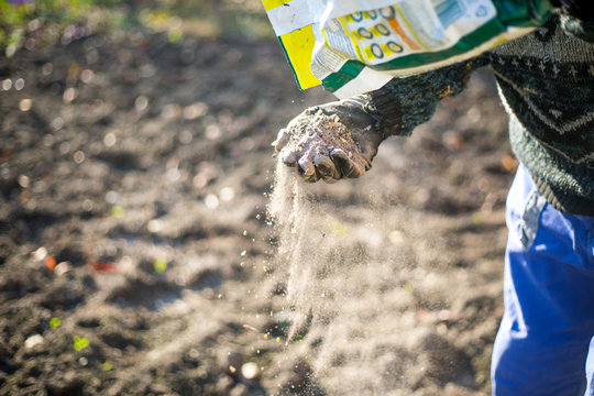 Fertilizing The Garden By Bio Granular Fertilizer For Better Conditions Of Garden