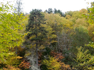 Paysage de montagne en automne 