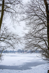Fototapeta na wymiar Moody winter landscape with bare trees and frozen lake, with snow-covered houses in background