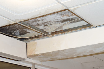 Mildew Behind plasterboard ceilings damage air conditioning system